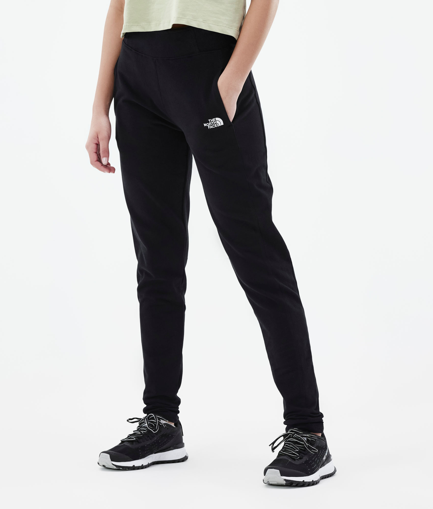 north face surgent poly pant