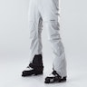 Montec Dune 2020 Ski Pants Light Grey