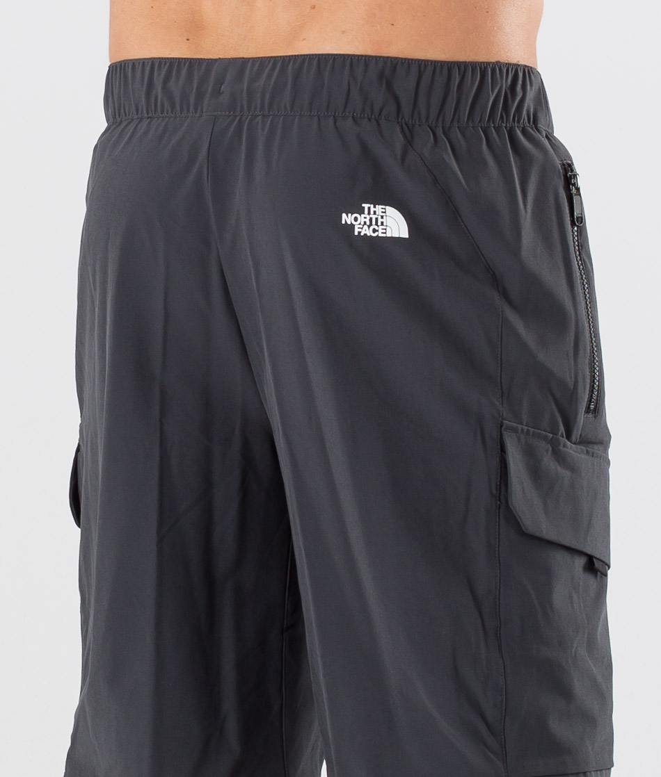 the north face short pants