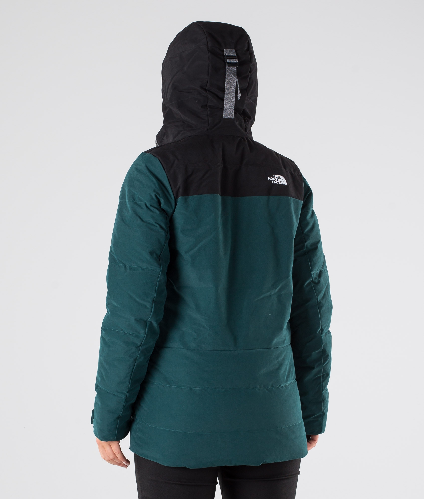 north face dryvent ski pants